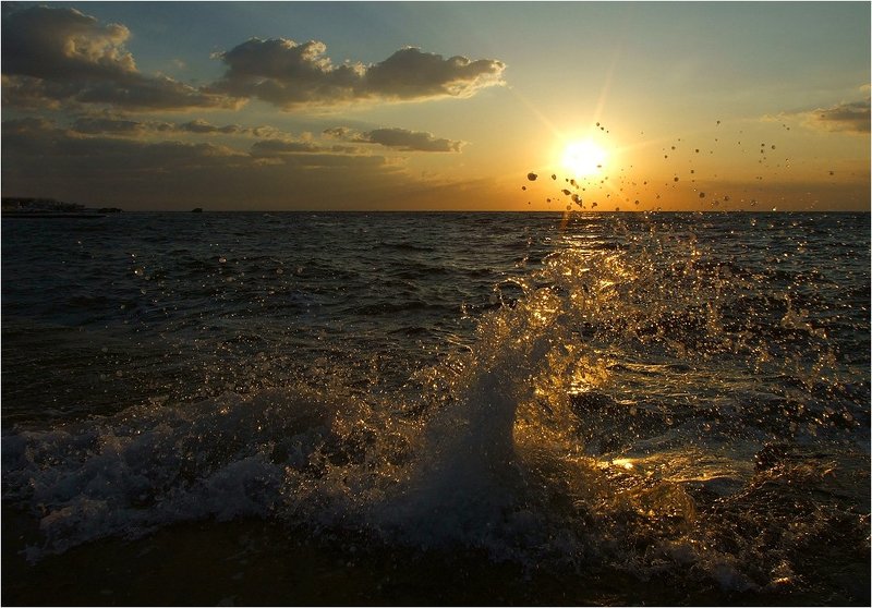 На гребне волны фото превью