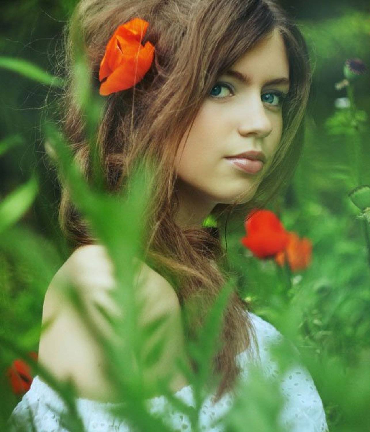 summer, girl, девушка, лето, маки, портрет, Elena