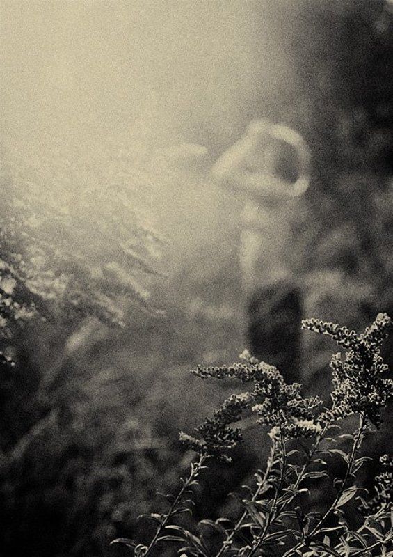 травы в осени фото превью