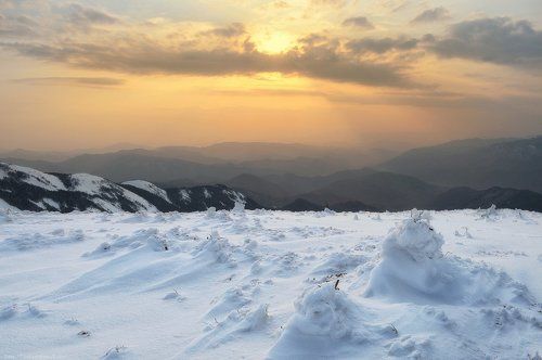 Прохладною весной