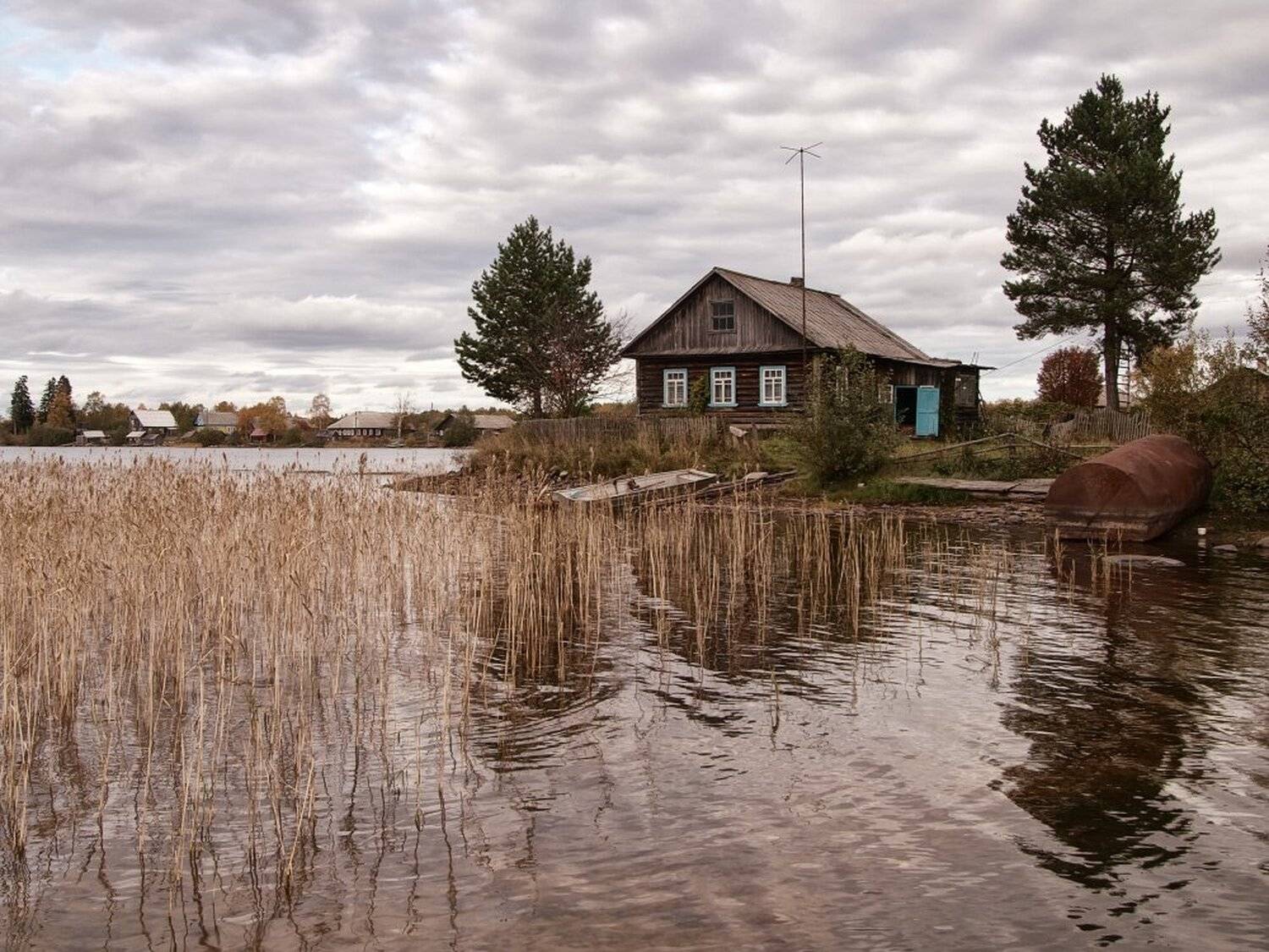 , Максим Евдокимов