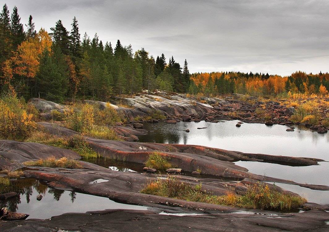 , Александр Коротков