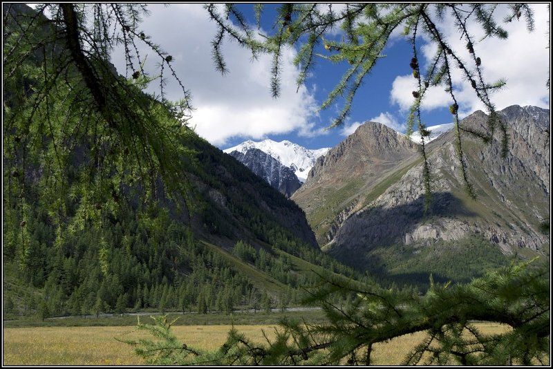 алтай, маашей, карагем На Карагемской поляне. фото превью