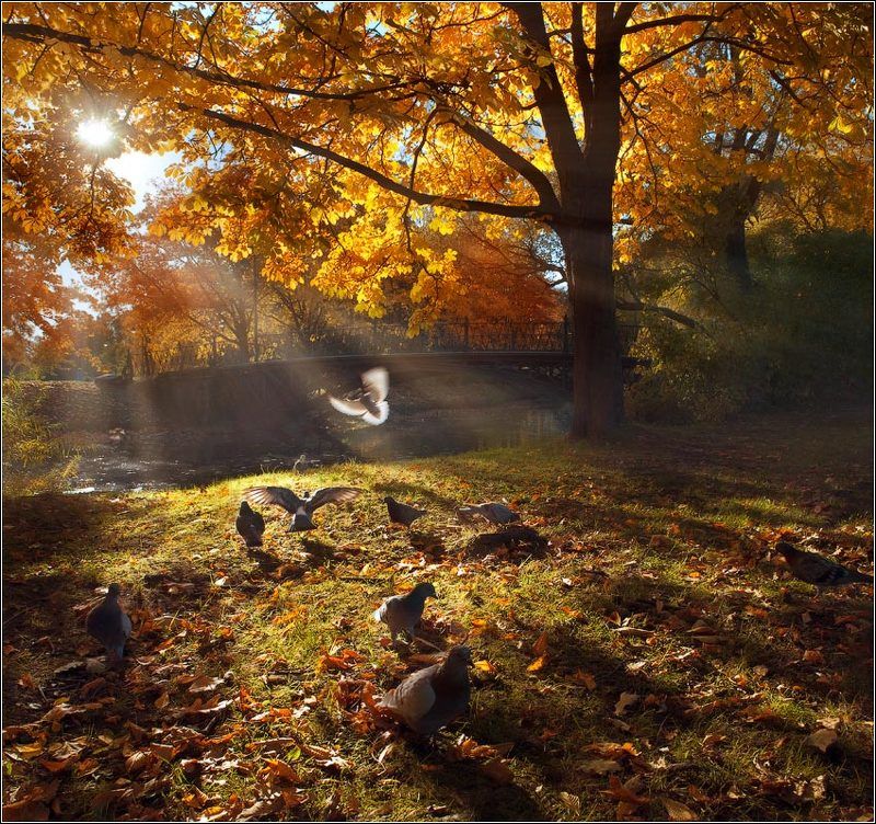 Вспоминая бабье лето фото превью