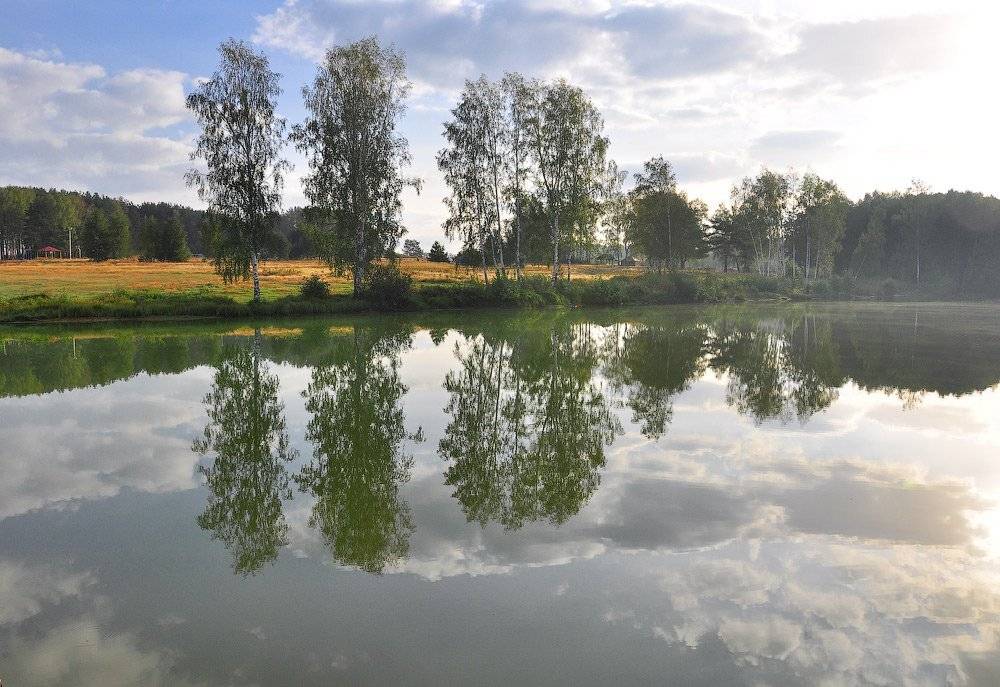 , Октай Гусейнов