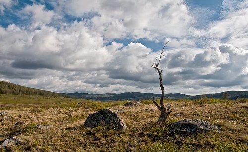 Одиночество