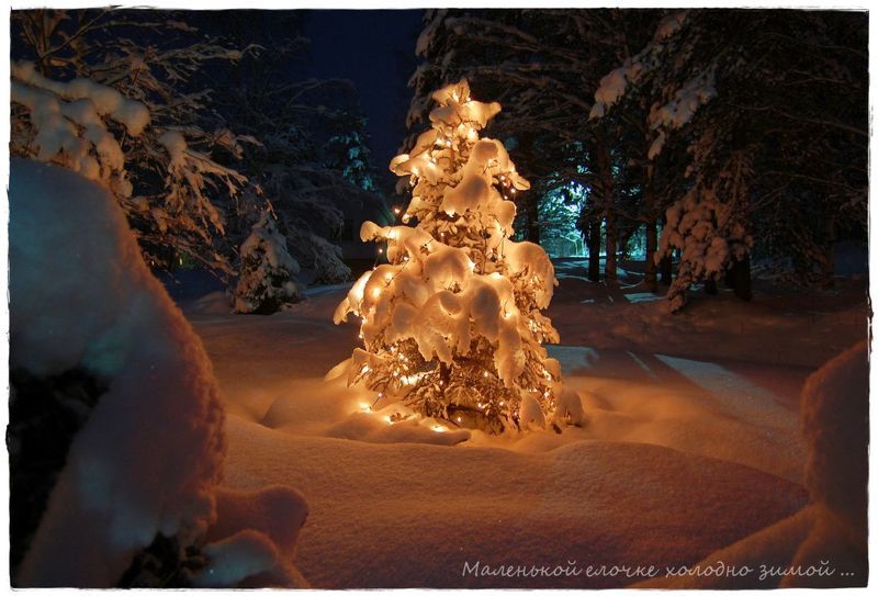 Маленькой елочке... фото превью