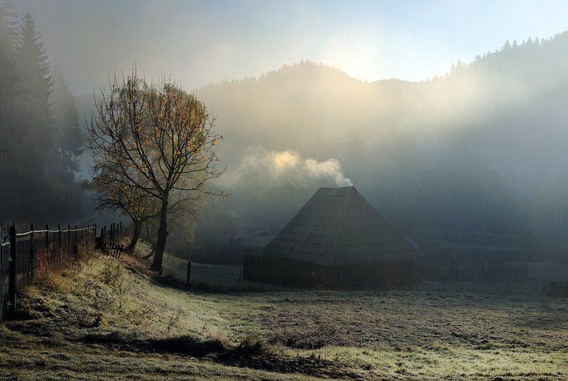 ... фото превью