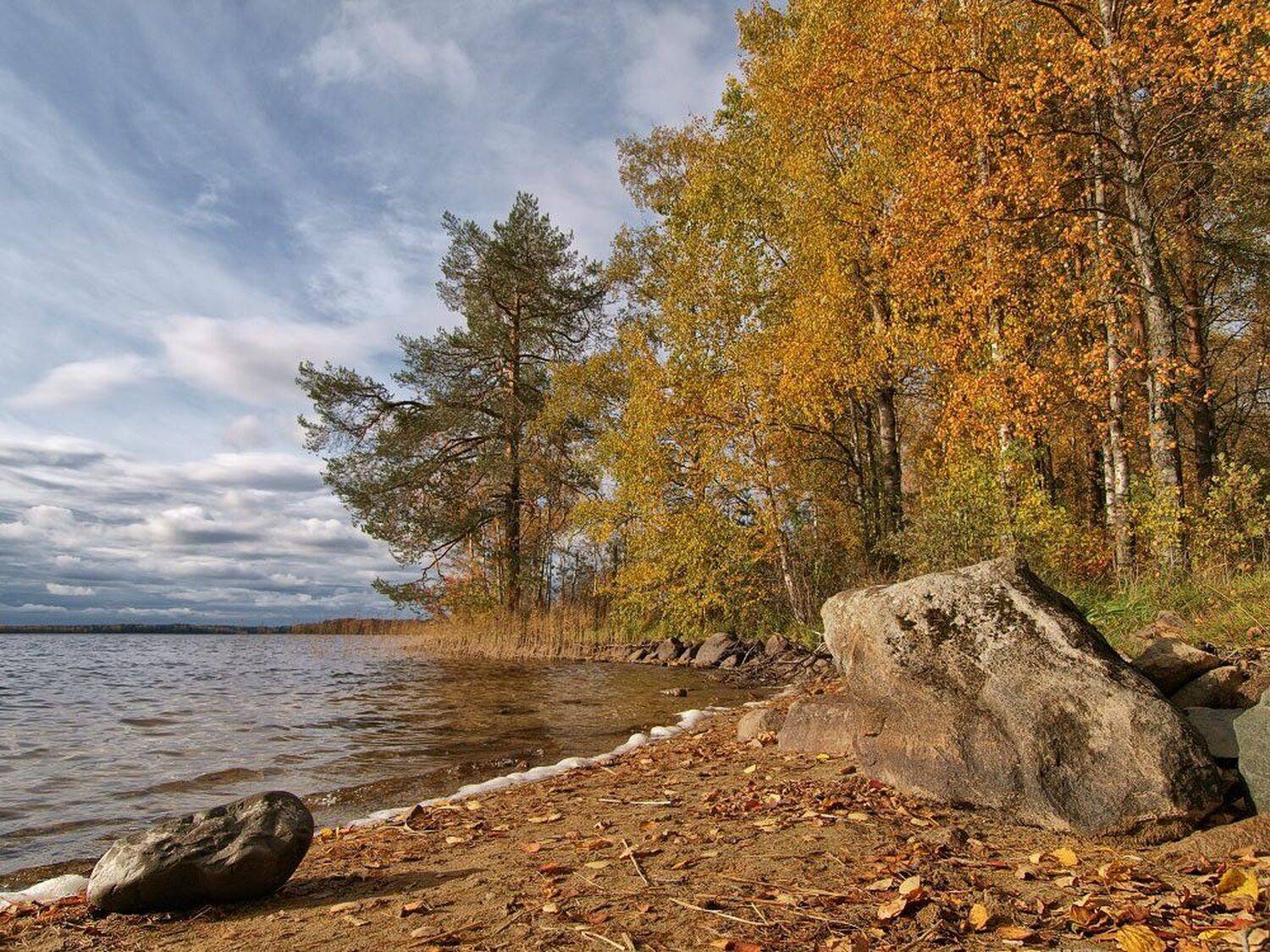 , Максим Евдокимов