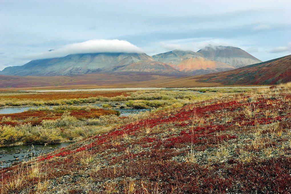 чукотка, пейзаж, природа, небо, облака, растения, сопки, речка. осень, россия, север, тундра, цвет,, Сергей Шульга