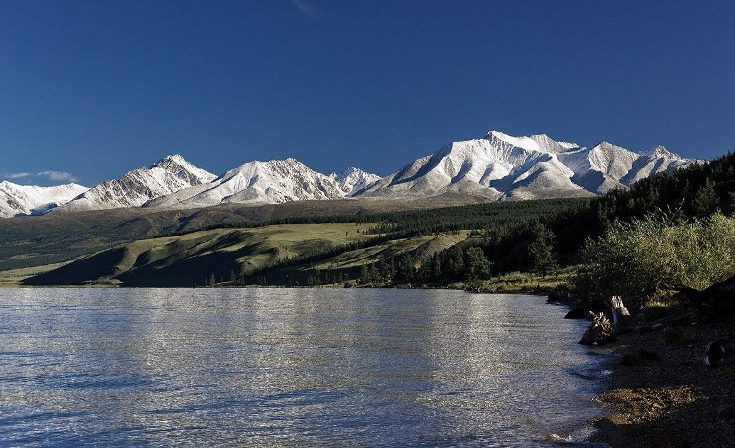 , Игорь Матвеев