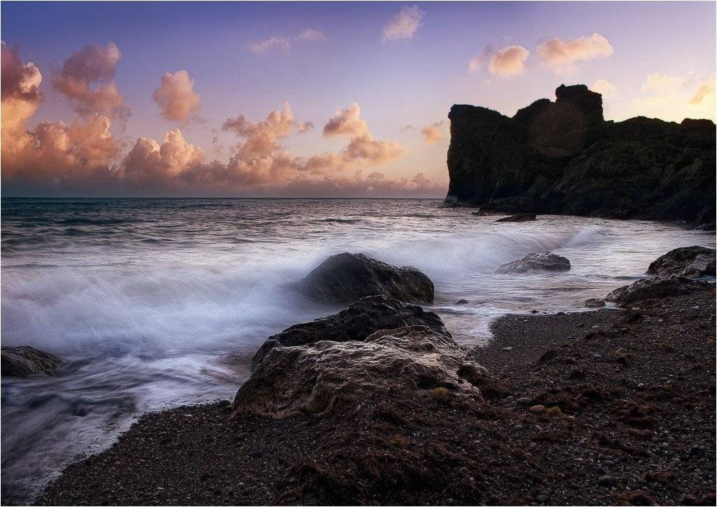 , Яна  Гайворонская