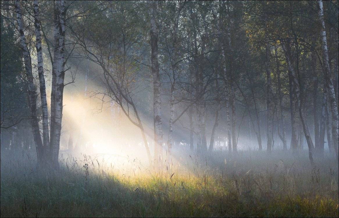 , Вадим Никифоров