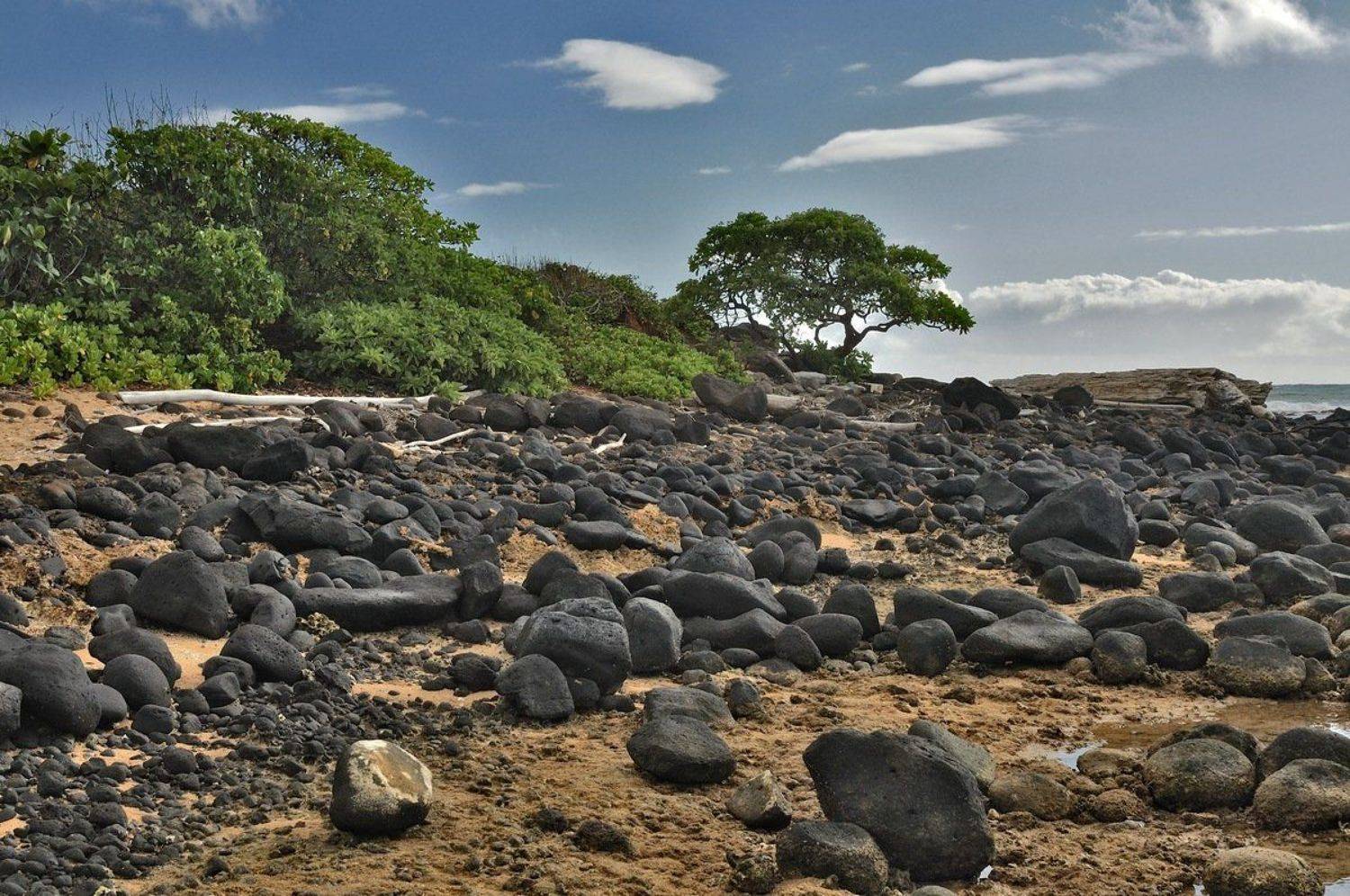пейзаж, море, отлив, камни, Андрей Станко