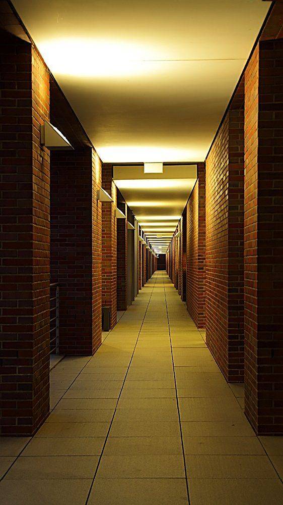 , Игорь Дубровский