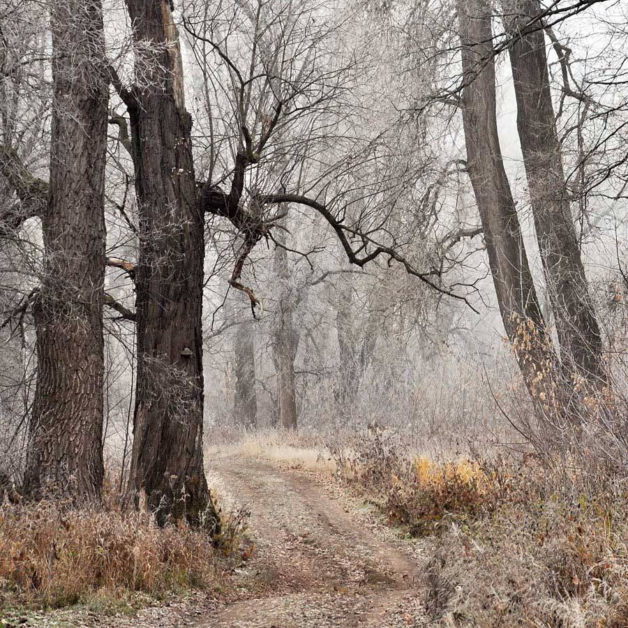 осень,, заморозки, туман, ноябрь, Sergey