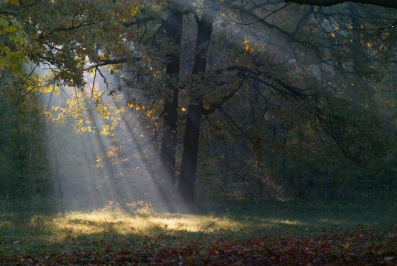 про жизнь... фото превью