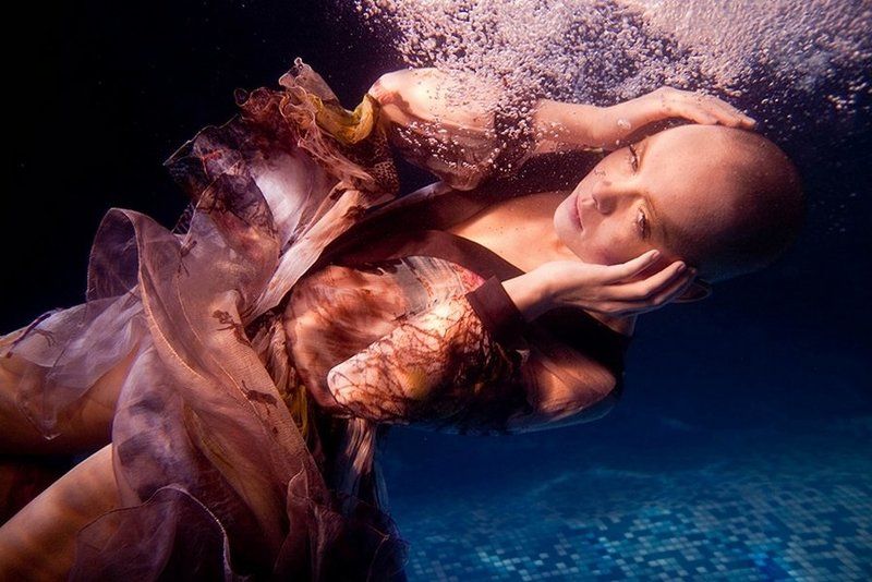 o.g.(герасенкова), щелухин, гуцати, воронцова,евгения прекрасная, inna bodrova \