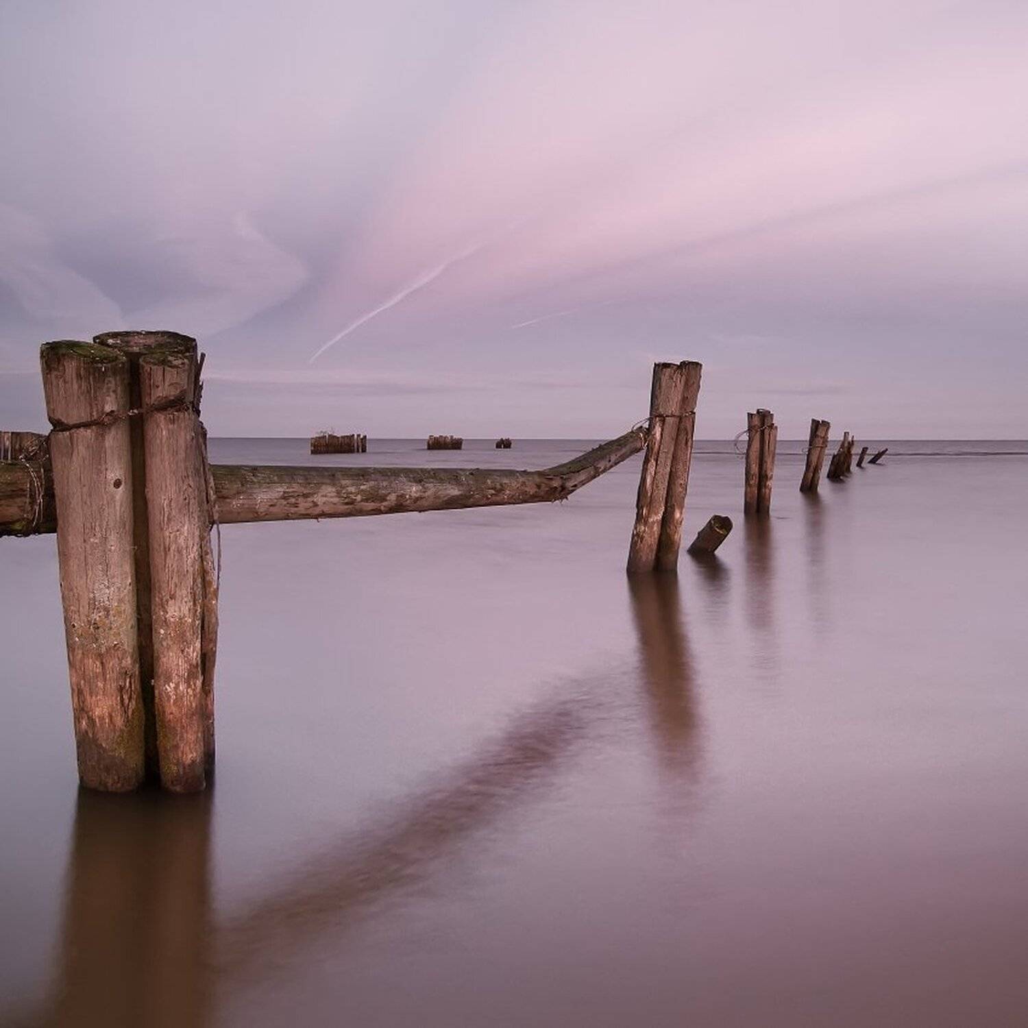 , Максим Евдокимов