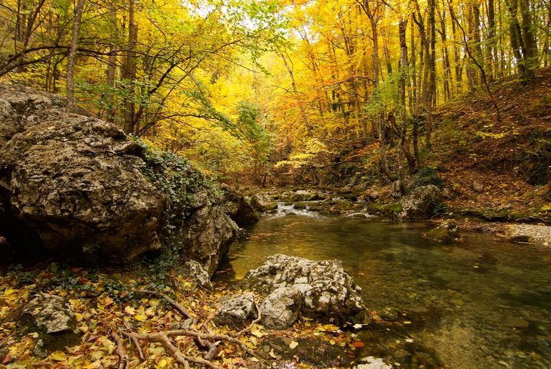 ... фото превью