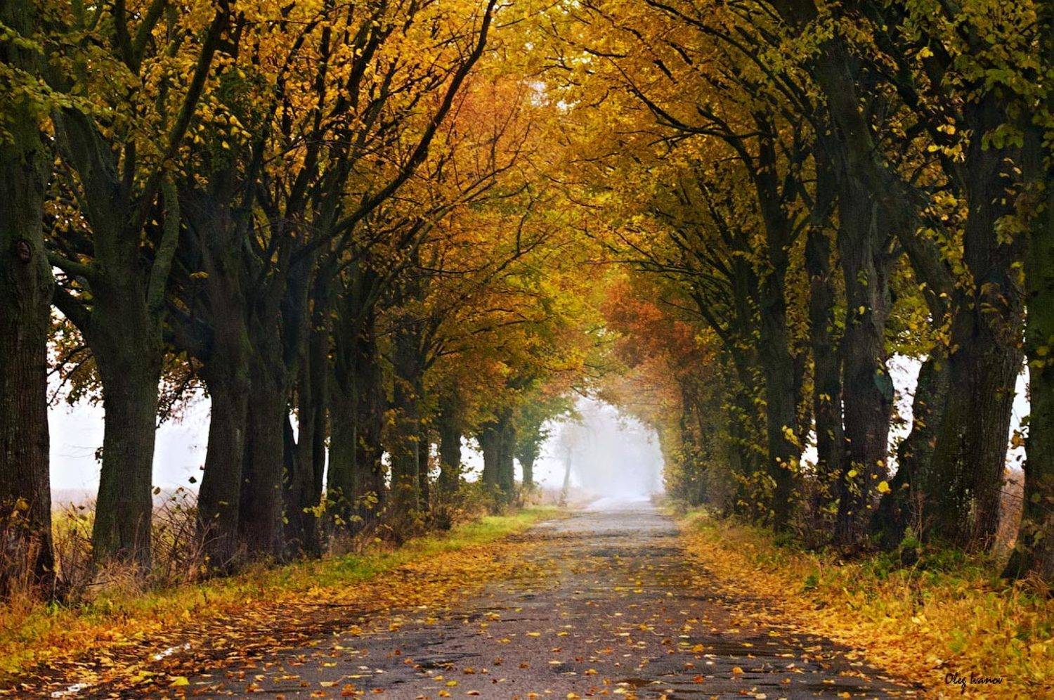 , Олег Иванов