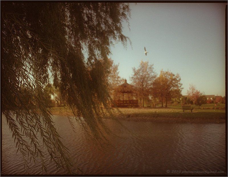 пейзаж, pilgrim Одинокая.... фото превью