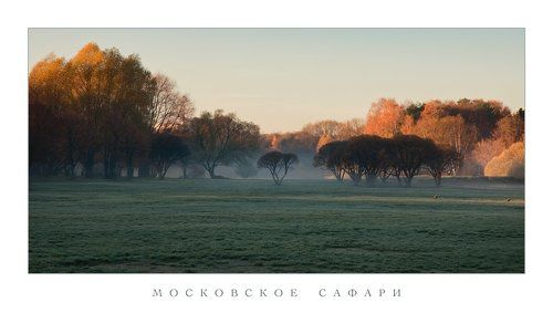 Московское сафари