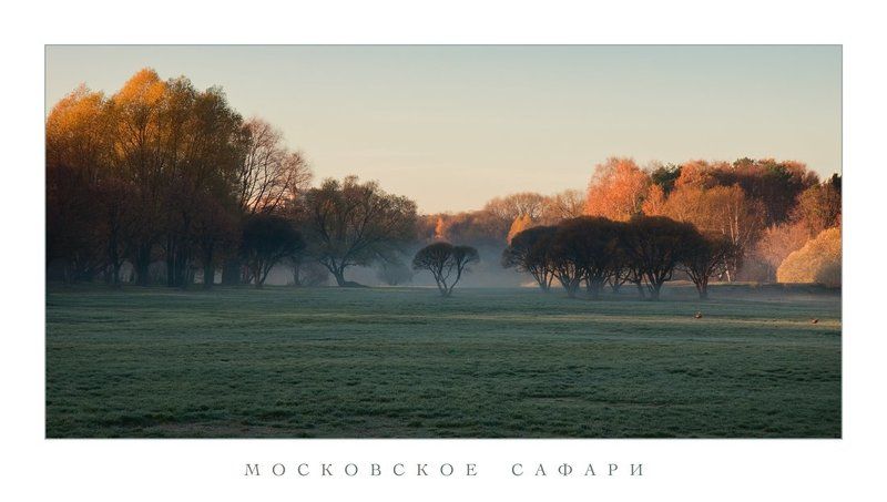 парк, осень, туман, на озерах Московское сафари фото превью
