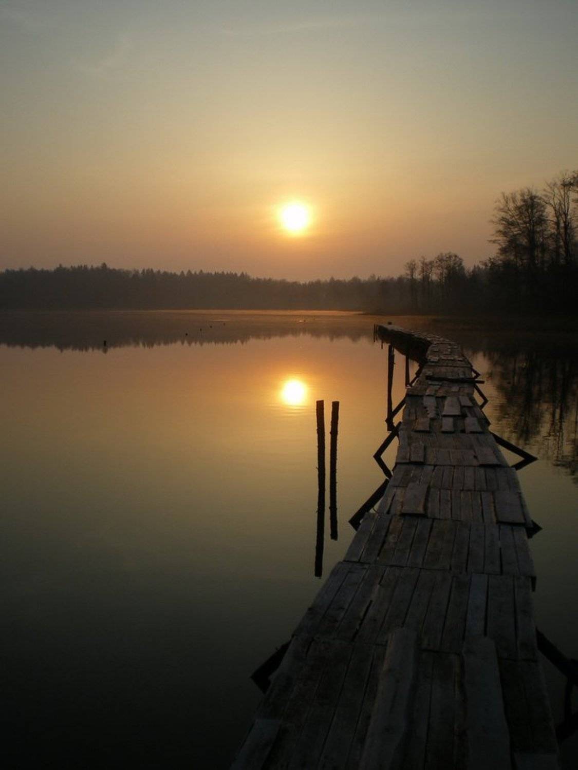 , Vodyanickii Vladimir