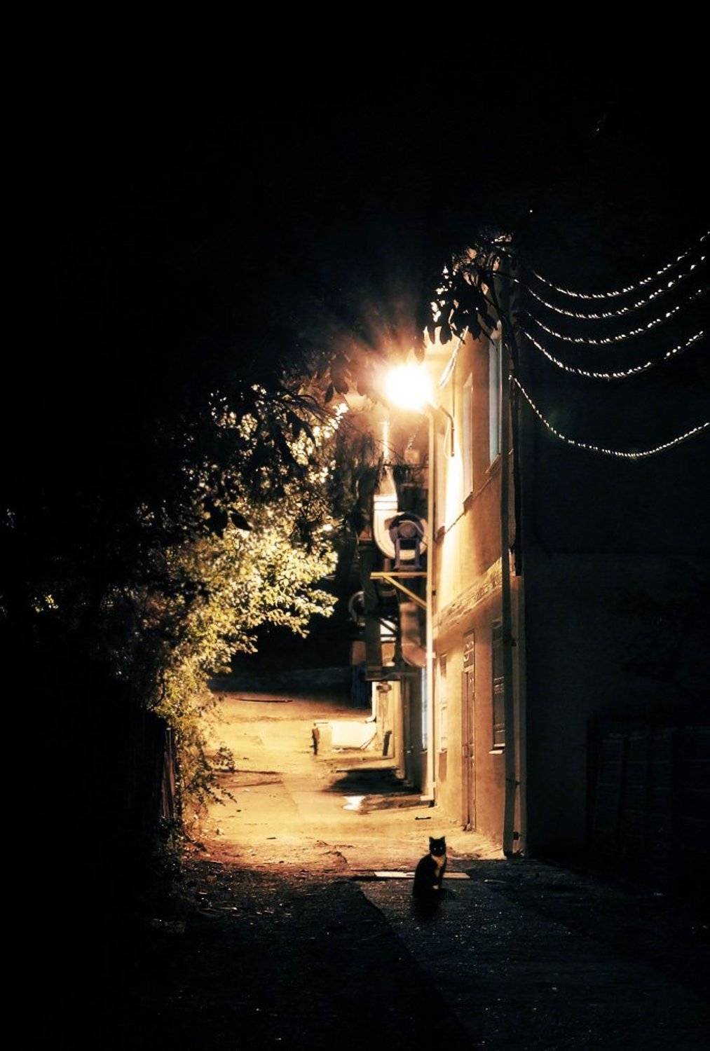 , Александр Аседач