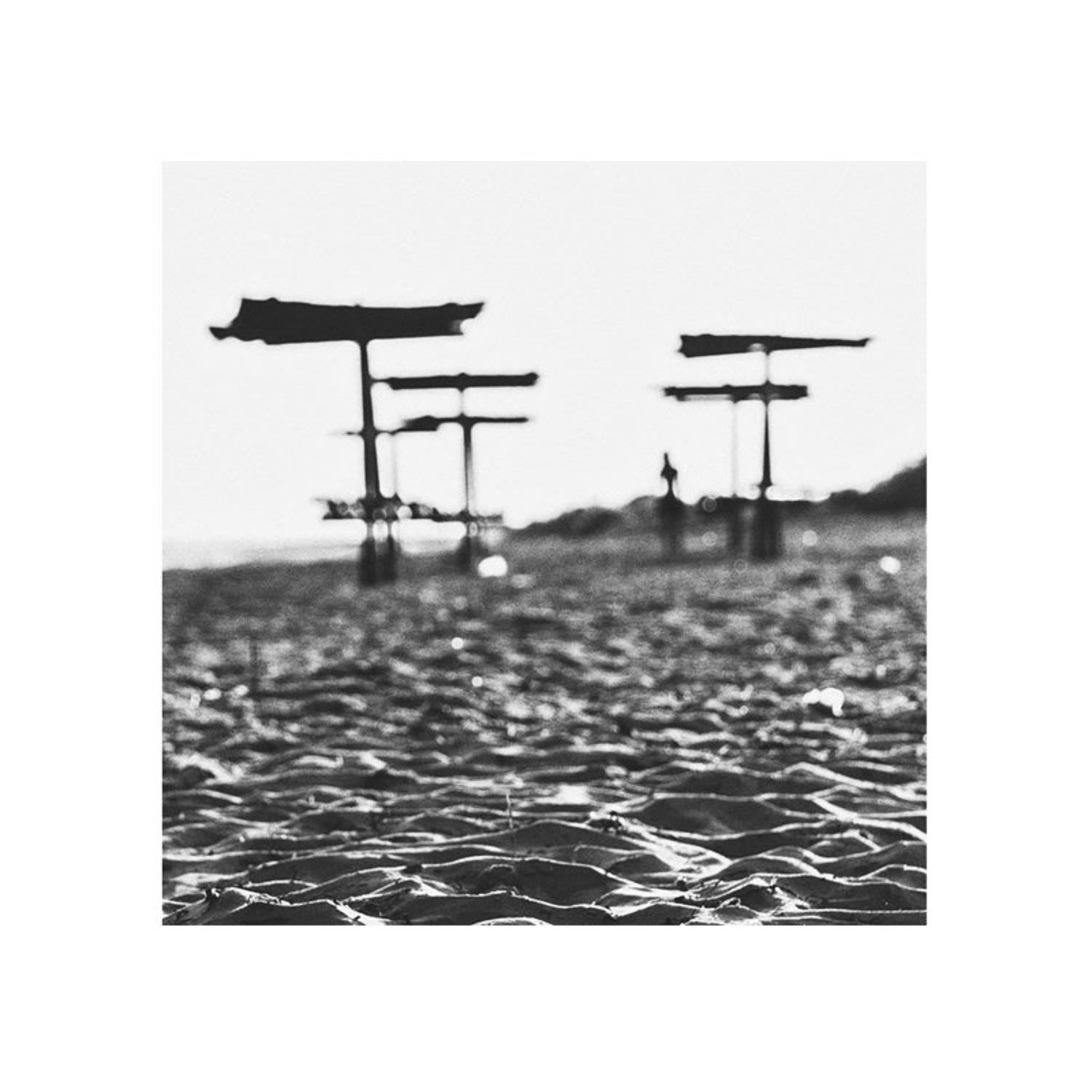 , Роман Чайка