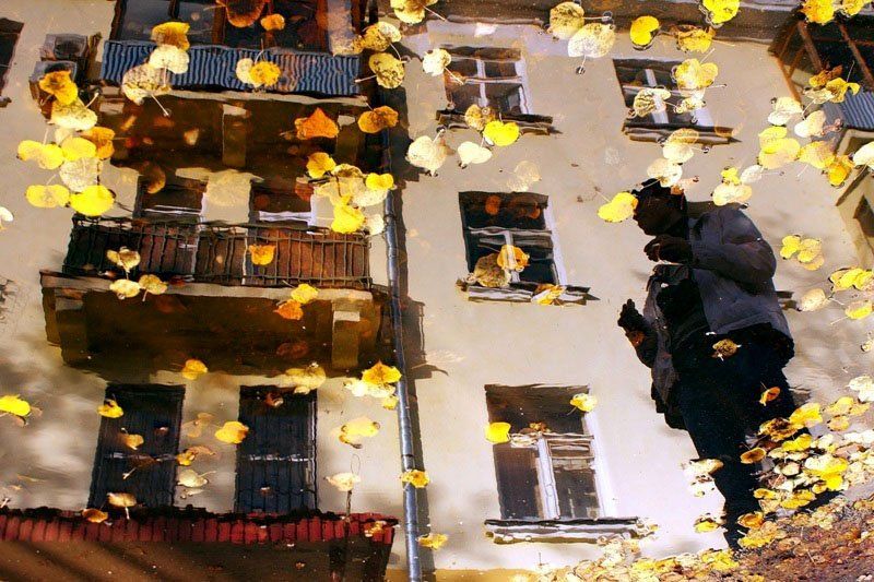 * * * * * фото превью