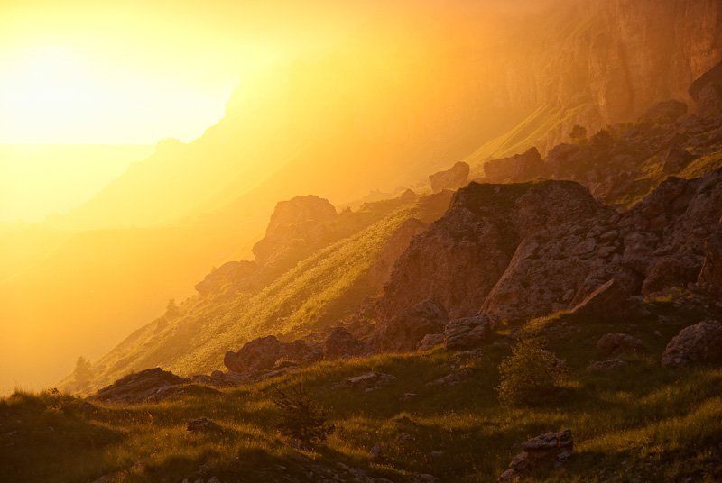 Sunshine фото превью