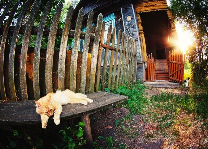 wwwest Дом дедушки фото превью