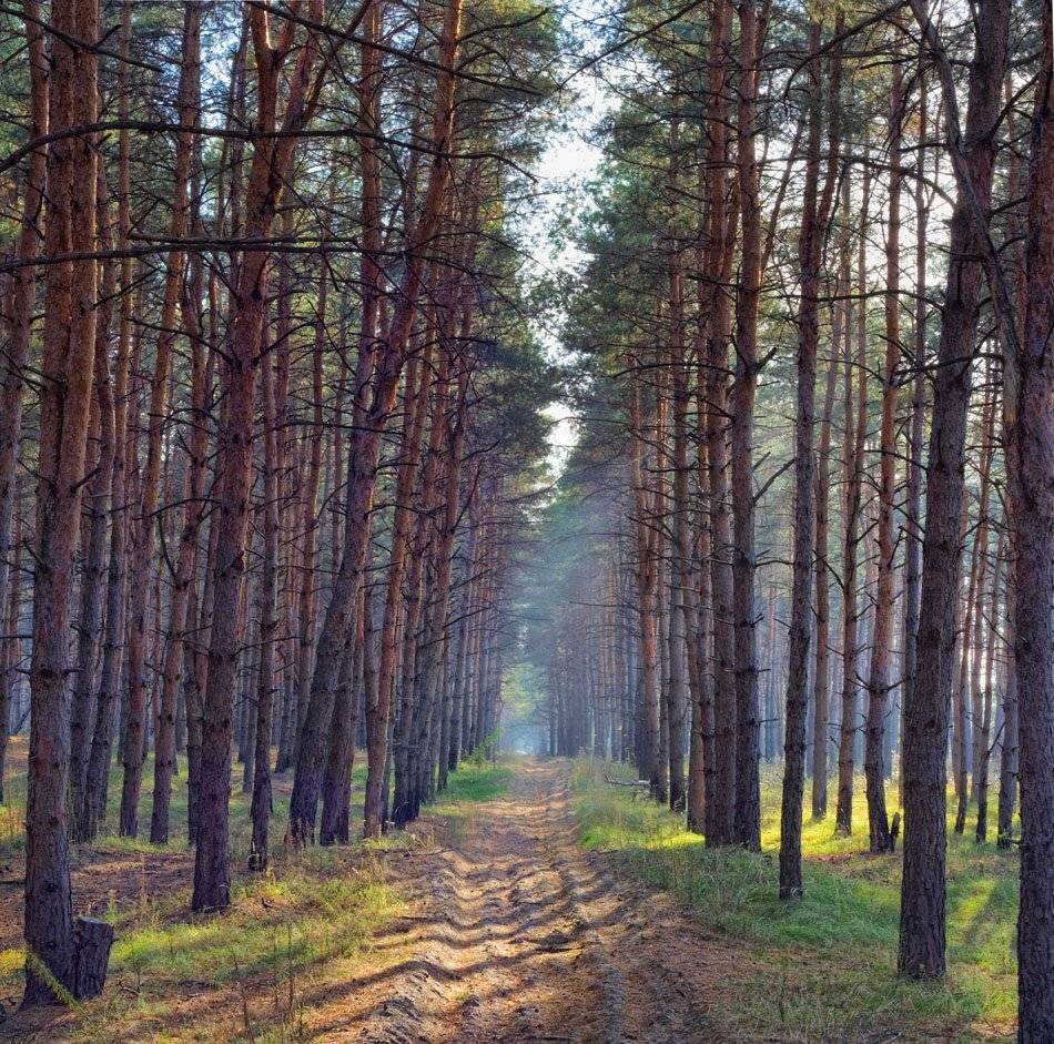 , Александр