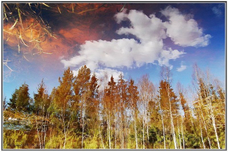 Зазеркалье фото превью