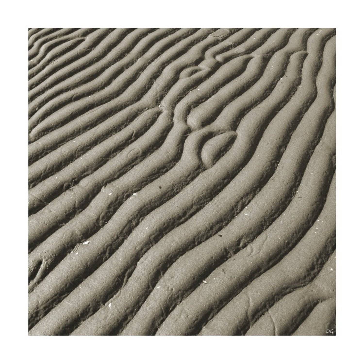 минимализм, D.G.