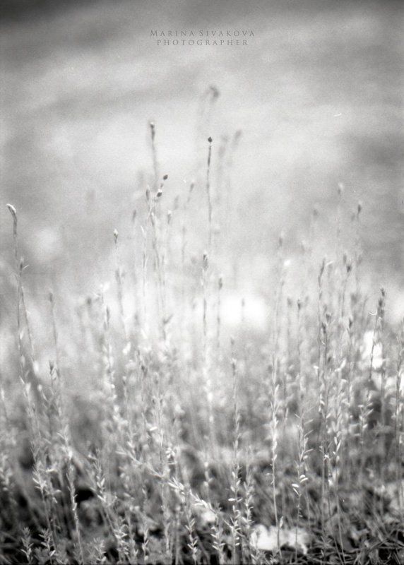 Природные тонкости фото превью