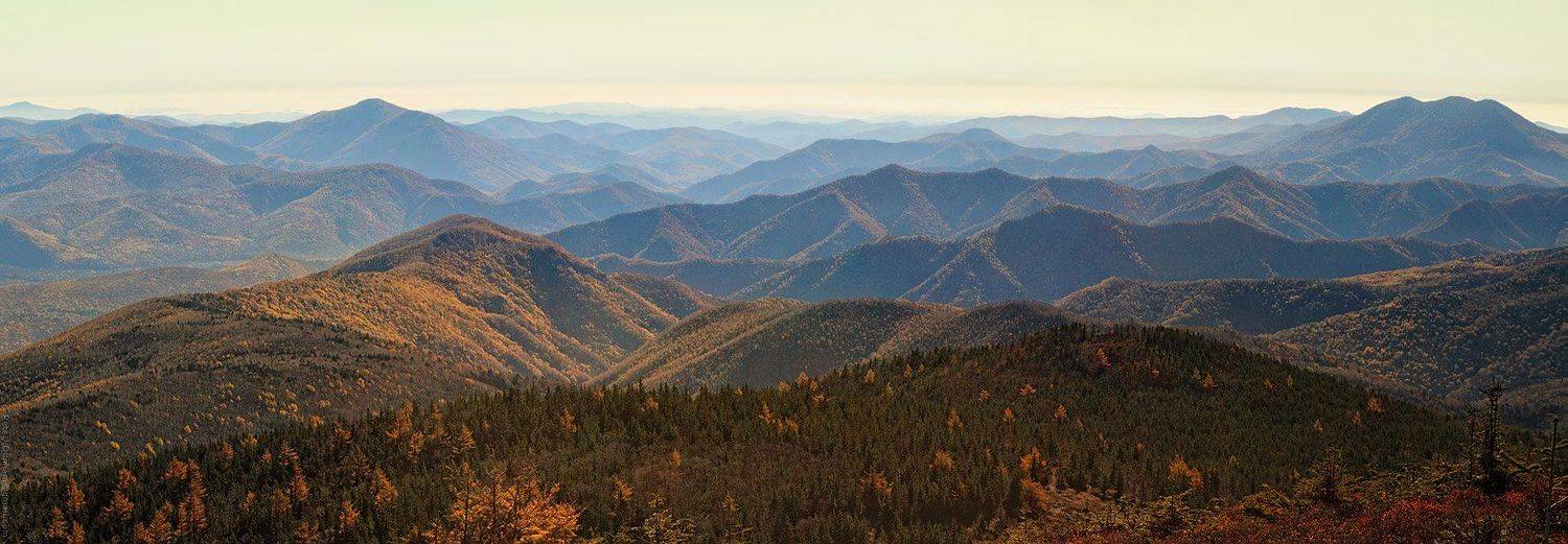 сихотэ-алинь, сихотэ, алинь, горы, тайга, бескрайние, леса, горная, страна, воздушная, тональная, перспектива, дымка, приморье, уссури, приморский, уссурийский, край, долина, отроги, милоградовка, ван-чин, туризм, треккинг, backpacking, Александр Коновалов