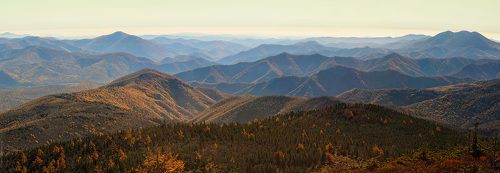 О широком выборе