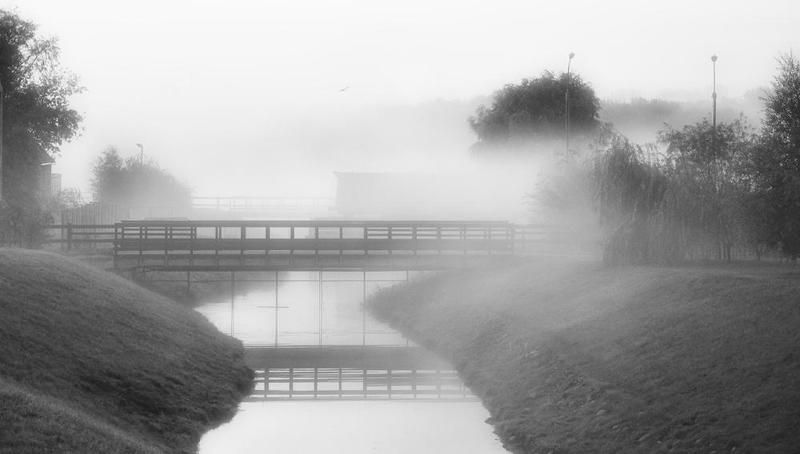 morning, fog утро фото превью