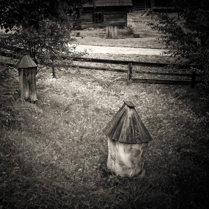 , Игорь Филипенко