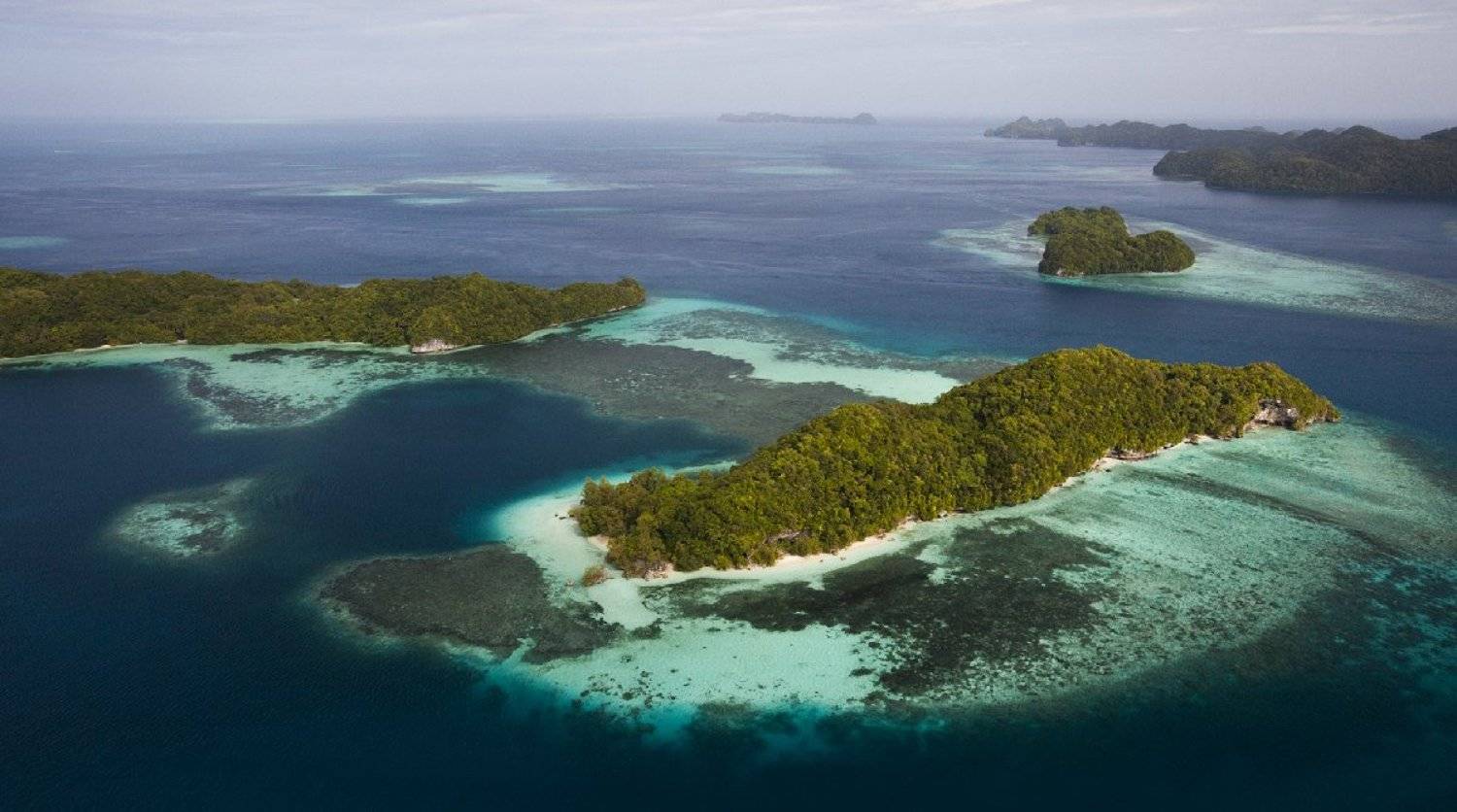 микронезия, Нетушки