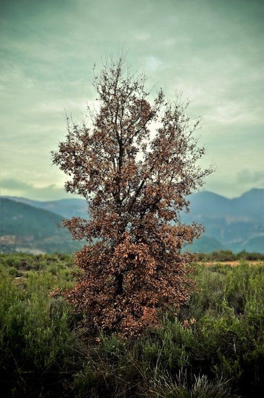 no title фото превью