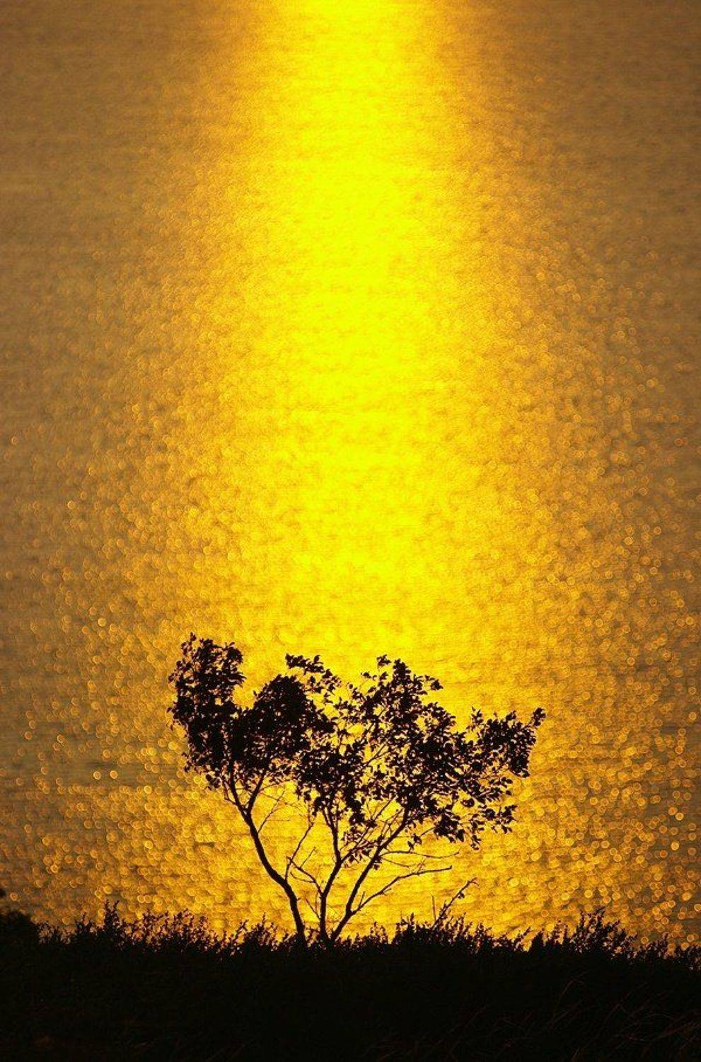 , Андрей Веретенников