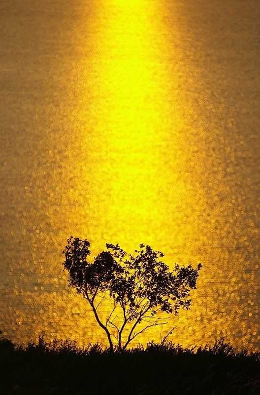 Золотой Кандры-Куль фото превью