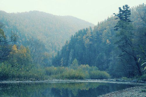 Здесь индейцы...