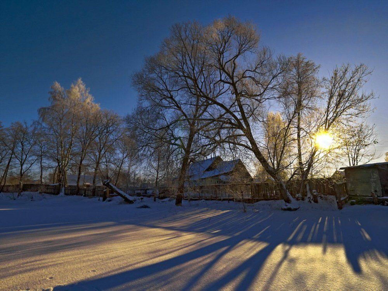 , Александр Виноградов