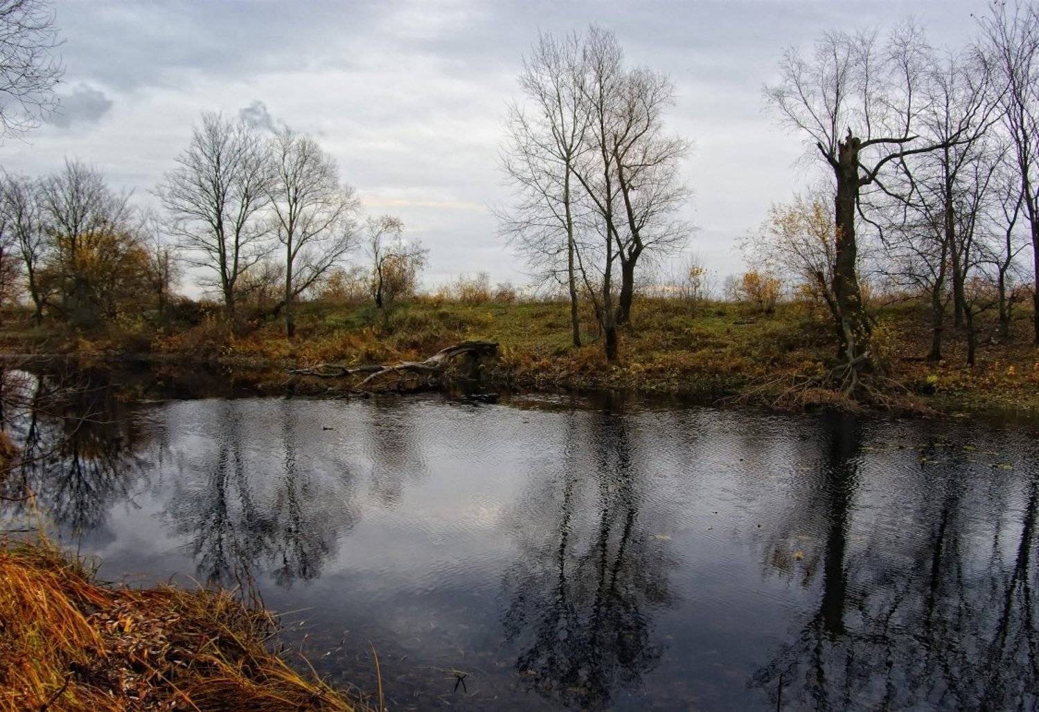 пейзаж, осень, Tina Grach