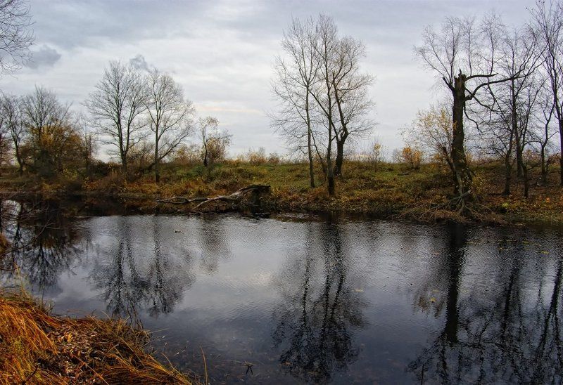 пейзаж, осень Лосиное озеро фото превью
